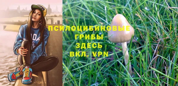 дурь Балахна