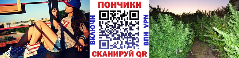 купить наркотик  KRAKEN ссылка  Бошки марихуана Amnesia  Ульяновск 